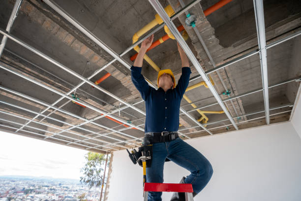 Best Best Plumbers Near Me  in Richton Park, IL