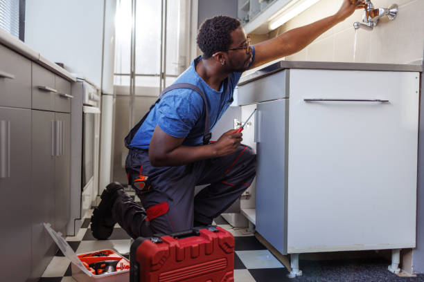 Best Residential Plumbing Services  in Richton Park, IL